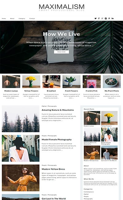 Revistas en Formatos Digitales