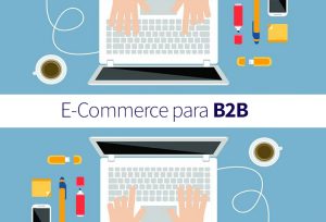 E-commerce para business to business (B2B).